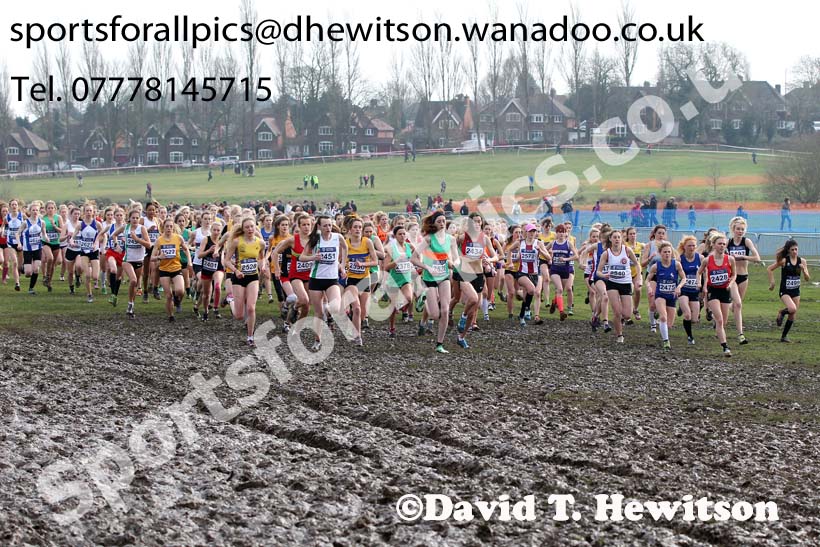 Start of the of the under-20 womens Inter Counties Cross Country, Cofton Park, Birmingham. Photo: David T. Hewitson/Sports for All Pics